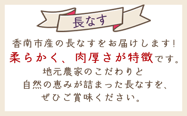 【2025年10月中旬以降発送】長なす 2kg 家庭用 - 国産 茄子 なすび 野菜 青果 肉厚 煮物 漬物 焼きなす 麻婆 訳あり ご家庭用 不揃い 傷 やすらぎ市 高知県 香南市 常温 yr-0071