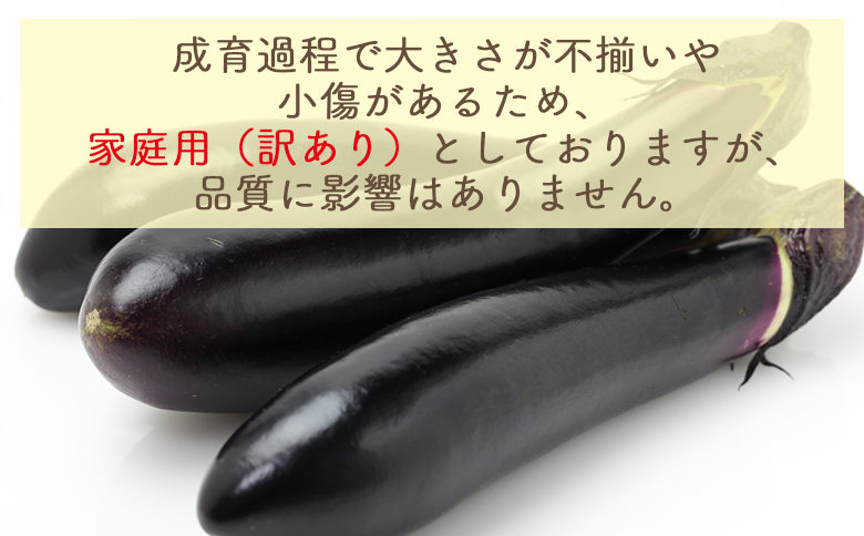 【2025年10月中旬以降発送】長なす 2kg 家庭用 - 国産 茄子 なすび 野菜 青果 肉厚 煮物 漬物 焼きなす 麻婆 訳あり ご家庭用 不揃い 傷 やすらぎ市 高知県 香南市 常温 yr-0071