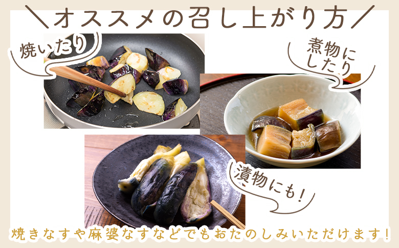 【2025年10月中旬以降発送】長なす 2kg 家庭用 - 国産 茄子 なすび 野菜 青果 肉厚 煮物 漬物 焼きなす 麻婆 訳あり ご家庭用 不揃い 傷 やすらぎ市 高知県 香南市 常温 yr-0071