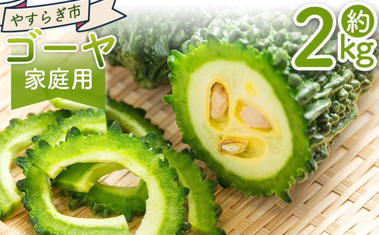 【2026年10月以降順次発送】ゴーヤ 2kg 家庭用 - 国産 野菜 青果 ごうや 苦瓜 天ぷら 炒め物 ご家庭用 不揃い 傷 やすらぎ市 高知県 香南市 冷蔵 yr-0074