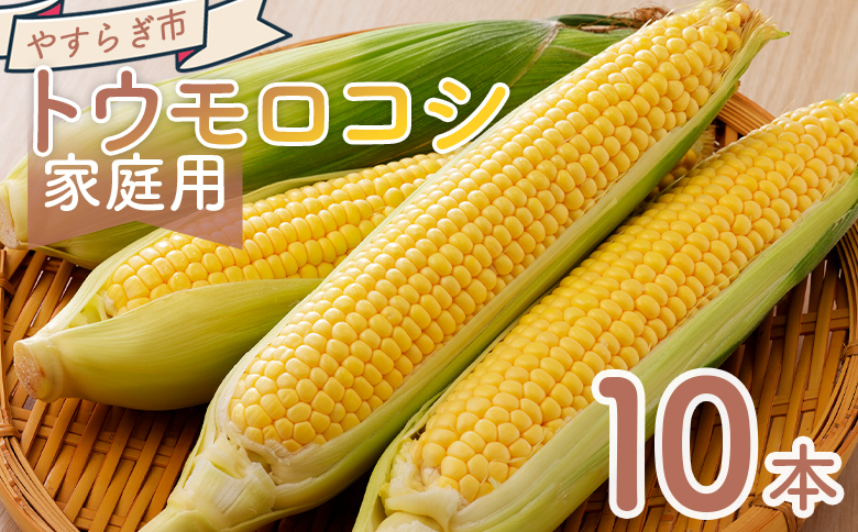 【令和8年6月中旬発送開始】トウモロコシ 10本 家庭用 - 国産 野菜 夏野菜 青果 とうもろこし コーン やすらぎ市 ご家庭用 不揃い 傷 やすらぎ市 高知県 香南市 冷蔵 yr-0076