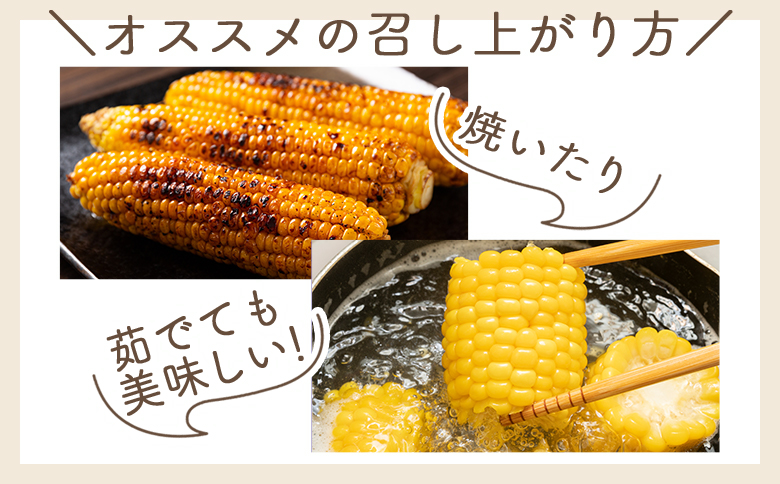 ã什å8幎6æäžæ¬çºééå§ãããŠã¢ãã³ã· 10æ¬ å®¶åºçš - åœç£ éè å€éè éæ ãšããããã ã³ãŒã³ ããããåž ãå®¶åºçš äžæã å· ããããåž é«ç¥ç éŠååž å·èµ yr-0076