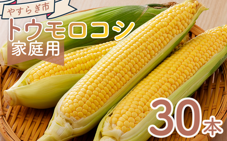 【令和8年6月中旬発送開始】トウモロコシ 30本 家庭用 - 国産 野菜 夏野菜 青果 とうもろこし コーン やすらぎ市 ご家庭用 不揃い 傷 やすらぎ市 高知県 香南市 冷蔵 yr-0078