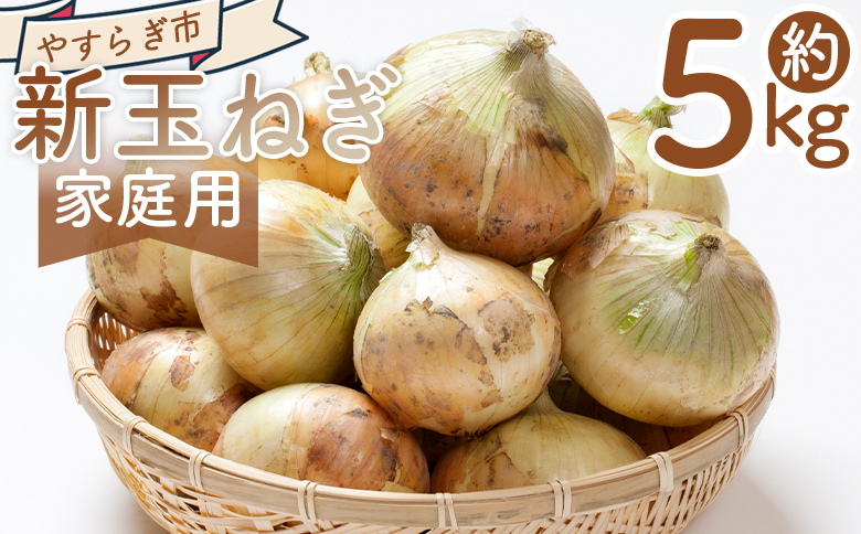 【2026年３月以降順次発送】新玉ねぎ 5kg 家庭用 - 国産 野菜 青果 たまねぎ タマネギ 玉葱 オニオン ご家庭用 不揃い 傷 やすらぎ市 高知県 香南市 冷蔵 yr-0079