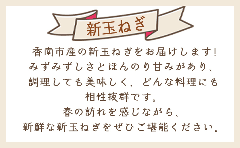 【2026年３月以降順次発送】新玉ねぎ 10kg - 国産 野菜 青果 たまねぎ タマネギ 玉葱 オニオン ご家庭用 不揃い 傷 やすらぎ市 高知県 香南市 冷蔵 家庭用 yr-0080