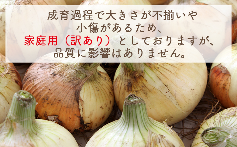 【2026年３月以降順次発送】新玉ねぎ 10kg - 国産 野菜 青果 たまねぎ タマネギ 玉葱 オニオン ご家庭用 不揃い 傷 やすらぎ市 高知県 香南市 冷蔵 家庭用 yr-0080