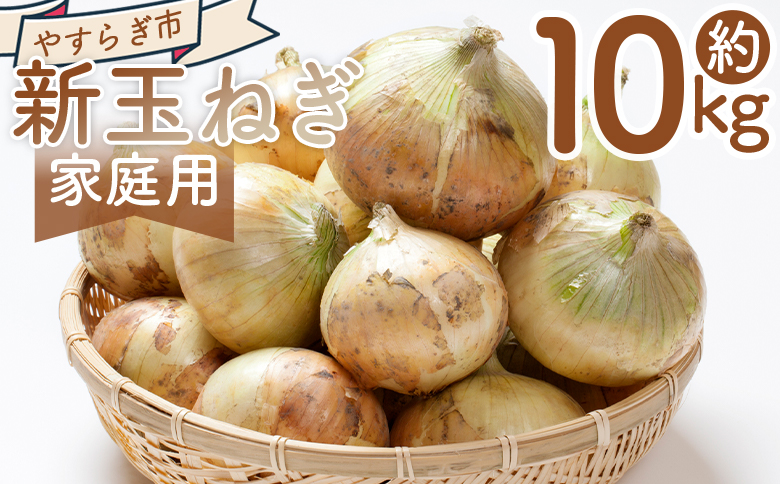 【2026年３月以降順次発送】新玉ねぎ 10kg - 国産 野菜 青果 たまねぎ タマネギ 玉葱 オニオン ご家庭用 不揃い 傷 やすらぎ市 高知県 香南市 冷蔵 家庭用 yr-0080