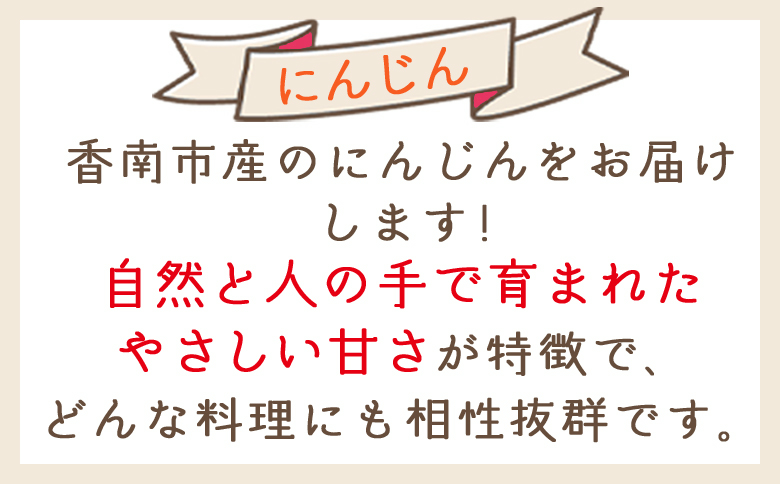 【2026年11月以降発送】にんじん 5kg 家庭用 -  国産 野菜 青果 人参 ジュース キャロット ご家庭用 不揃い 傷 やすらぎ市 高知県 香南市 常温 yr-0138