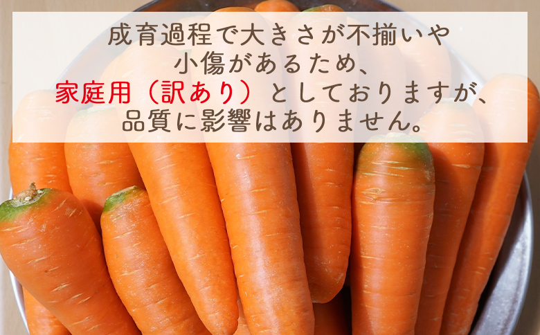 【2026年11月以降発送】にんじん 5kg 家庭用 -  国産 野菜 青果 人参 ジュース キャロット ご家庭用 不揃い 傷 やすらぎ市 高知県 香南市 常温 yr-0138