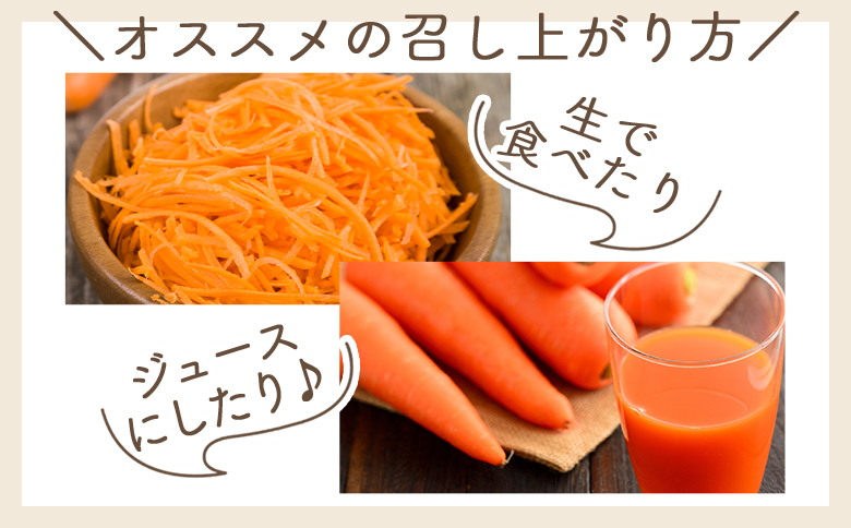 【2026年11月以降発送】にんじん 5kg 家庭用 -  国産 野菜 青果 人参 ジュース キャロット ご家庭用 不揃い 傷 やすらぎ市 高知県 香南市 常温 yr-0138