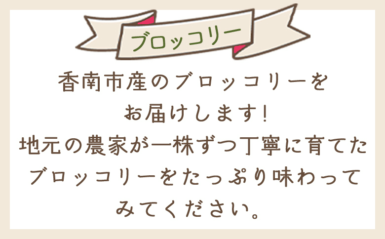【2025年11月末以降発送】ブロッコリー 2kg 家庭用 - 国産 野菜 緑黄色野菜 青果 サラダ グラタン ご家庭用 不揃い 傷 やすらぎ市 高知県 香南市 冷蔵 yr-0087
