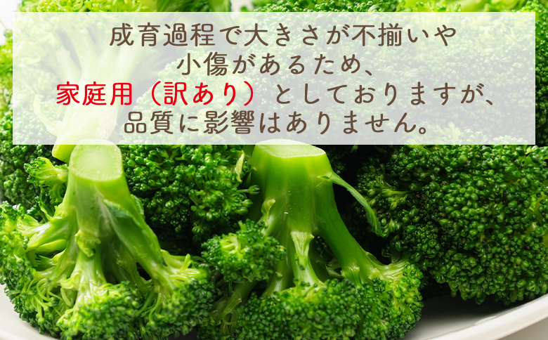 【2025年11月末以降発送】ブロッコリー 2kg 家庭用 - 国産 野菜 緑黄色野菜 青果 サラダ グラタン ご家庭用 不揃い 傷 やすらぎ市 高知県 香南市 冷蔵 yr-0087