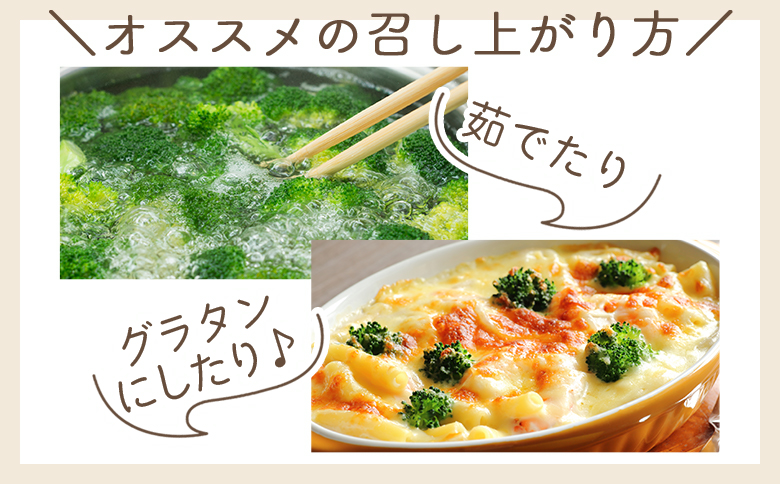 【2025年11月末以降発送】ブロッコリー 2kg 家庭用 - 国産 野菜 緑黄色野菜 青果 サラダ グラタン ご家庭用 不揃い 傷 やすらぎ市 高知県 香南市 冷蔵 yr-0087