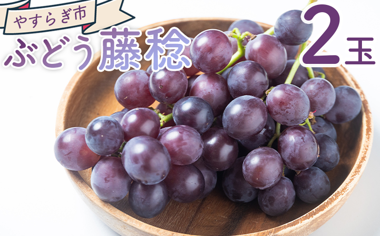 ã¶ã©ã è€çš 2P - åœç£ æç© ãã ãã® éæ ãã«ãŒã è¡è ãã㊠ã°ã¬ãŒã ãžã¥ãŒã·ãŒ ãã¶ãŒã ããããåž é«ç¥ç éŠååž å·èµ yr-0098