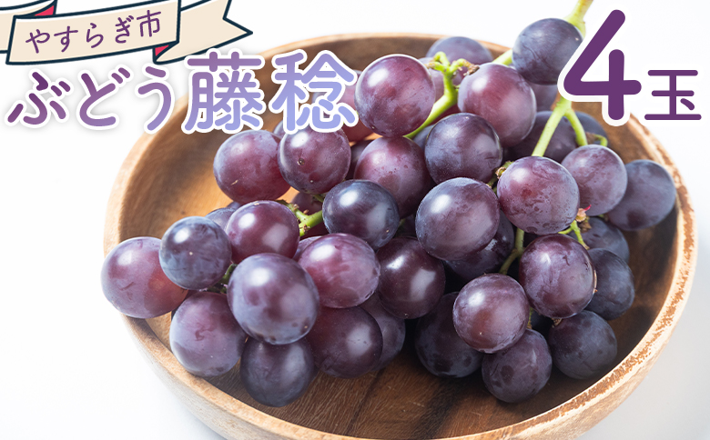 ぶどう 藤稔 4P - 国産 果物 くだもの 青果 フルーツ 葡萄 ブドウ グレープ ジューシー デザート やすらぎ市 高知県 香南市 冷蔵 yr-0099