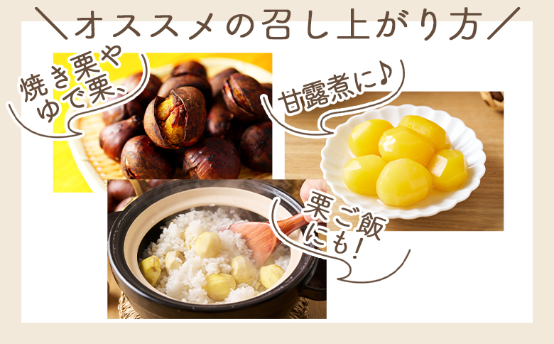 栄養豊富な秋の味覚 クリ（栗） 1袋（1kg） - 国産 果物 青果 フルーツ マロン 生栗 秋の味覚 旬 ゆで栗 焼き栗 甘露煮 栗ご飯 やすらぎ市 高知県 香南市 常温 2026年9月下旬～10月下旬までに発送 yr-0102