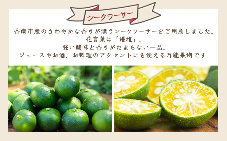 さわやかな香り漂うシークワーサー 1kg - 国産 シークヮーサー 果物 フルーツ 果実 青果 柑橘 ヒラミレモン ジュース 酒 やすらぎ市 高知県 香南市 常温 2026年10月～11月上旬までに発送 yr-0106