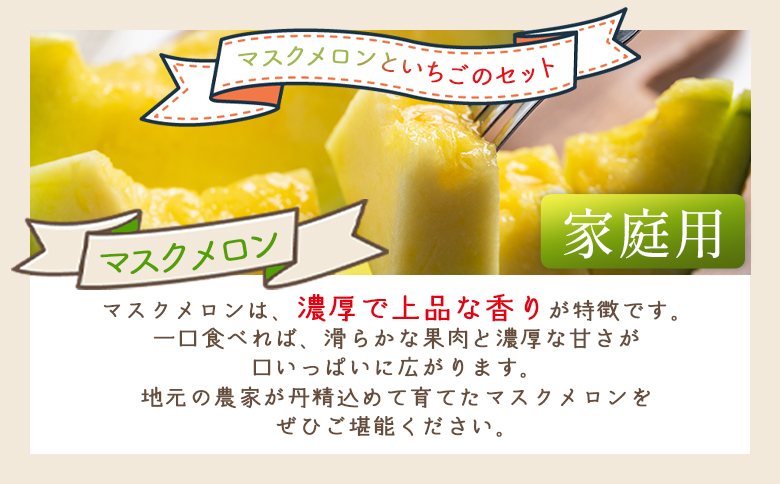 【2027年2月中旬発送開始】マスクメロン イチゴセット - 果物 青果 フルーツ メロン デザート 濃厚 いちご 苺 あまえくぼ さちのか 紅ほっぺ べにほっぺ 訳あり 訳アリ ご家庭用 家庭用 自宅用 不揃い 小傷 やすらぎ市 高知県 香南 冷蔵 yr-0110