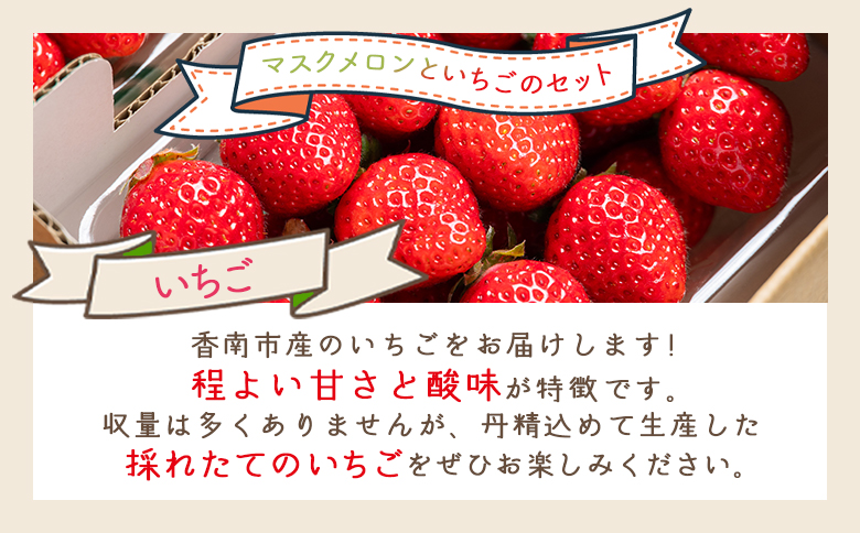 【2027年2月中旬発送開始】マスクメロン イチゴセット - 果物 青果 フルーツ メロン デザート 濃厚 いちご 苺 あまえくぼ さちのか 紅ほっぺ べにほっぺ 訳あり 訳アリ ご家庭用 家庭用 自宅用 不揃い 小傷 やすらぎ市 高知県 香南 冷蔵 yr-0110