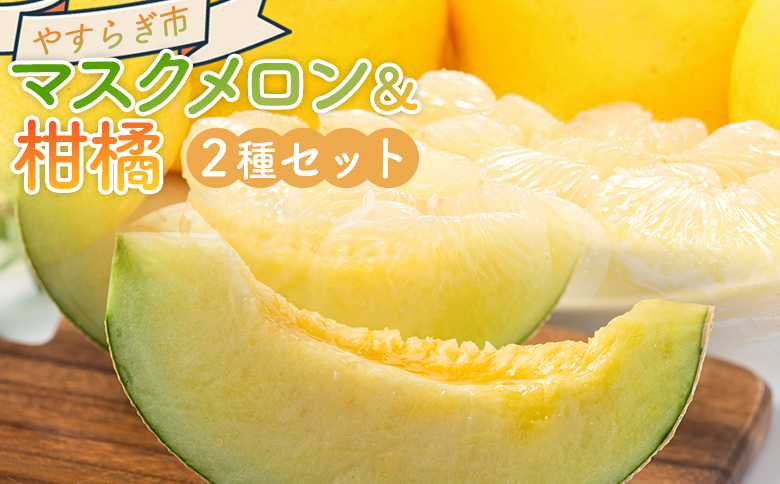マスクメロン&柑橘2種セット - フルーツ 果物 果実 青果 メロン 濃厚 柑橘 蜜柑 文旦 みかん 小夏 きんかん 訳あり 訳アリ ご家庭用 家庭用 自宅用 不揃い 小傷 やすらぎ市 高知県 香南 常温 yr-0111
