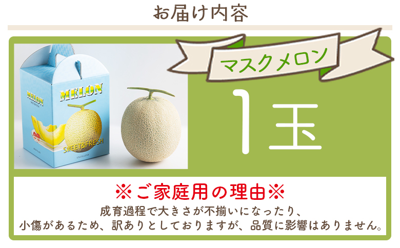 マスクメロン&柑橘2種セット - フルーツ 果物 果実 青果 メロン 濃厚 柑橘 蜜柑 文旦 みかん 小夏 きんかん 訳あり 訳アリ ご家庭用 家庭用 自宅用 不揃い 小傷 やすらぎ市 高知県 香南 常温 yr-0111