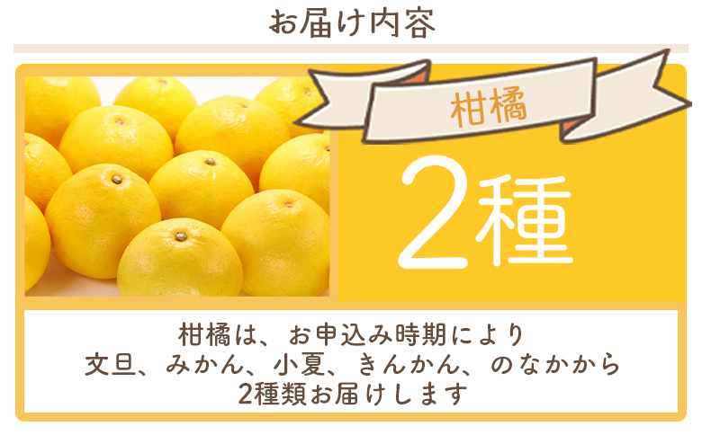 マスクメロン&柑橘2種セット - フルーツ 果物 果実 青果 メロン 濃厚 柑橘 蜜柑 文旦 みかん 小夏 きんかん 訳あり 訳アリ ご家庭用 家庭用 自宅用 不揃い 小傷 やすらぎ市 高知県 香南 常温 yr-0111