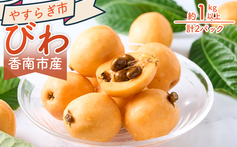 びわ ２パック 約1000ｇ以上 （1パックあたり10～15個入） 香南市産 - 国産 フルーツ 果物 果実 青果 ビワ 枇杷 山の幸 山の恵み 甘い やすらぎ市 高知県 香南市 冷蔵 yr-0115