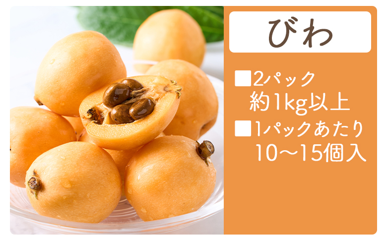 びわ ２パック 約1000ｇ以上 （1パックあたり10～15個入） 香南市産 - 国産 フルーツ 果物 果実 青果 ビワ 枇杷 山の幸 山の恵み 甘い やすらぎ市 高知県 香南市 冷蔵 yr-0115