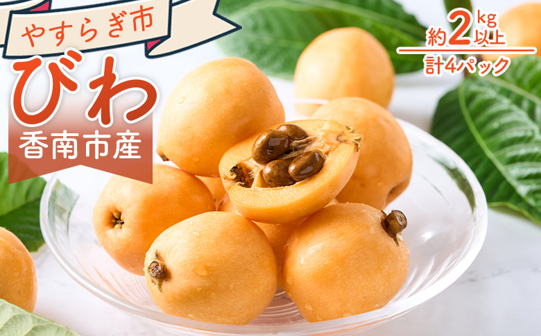 びわ ４パック 約2000ｇ （1パックあたり10～15個入） 香南市産 - 国産 フルーツ 果物 果実 青果 ビワ 枇杷 山の幸 山の恵み 甘い やすらぎ市 高知県 香南市 冷蔵 yr-0117