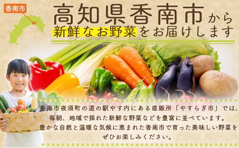 ãïŒåå®æäŸ¿ãããããåž ç£å°çŽéãããïŒ7çš®é¡ååŸïŒ - éè ããžã¿ãã« ããŸãã è©°ãåãã ã»ãã å£ç¯ æ¬ ãä»»ã ãæ¥œãã¿ ãã«ã·ãŒ åœç£ ç¹ç£å éæç¡æ ããããåž é«ç¥ç éŠååž Wyr-0037