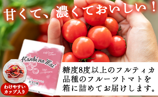 〈数量限定〉高糖度＆高機能性 フルーツトマト150g×12パック - フルーツトマト 甘美の舞 小分け 野菜 フルティカトマト 完熟トマト 糖度8以上 ミニトマト プチトマト おすそ分け kr-0016