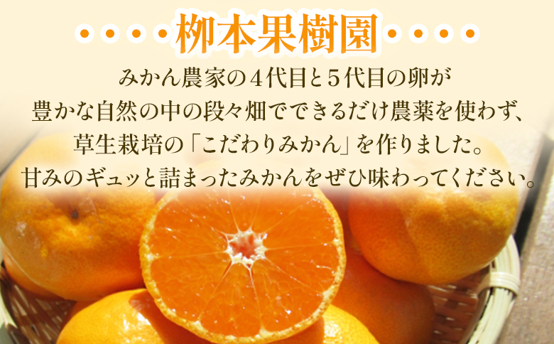 家庭用 柳本果樹園の山北みかん 5kg 大小混合(2S～L) - 果物 フルーツ 柑橘類 温州みかん ミカン 蜜柑 甘い おいしい 訳あり キズ 大小混合 送料無料 期間限定 季節限定 数量限定 高知県 香南市 yg-0013