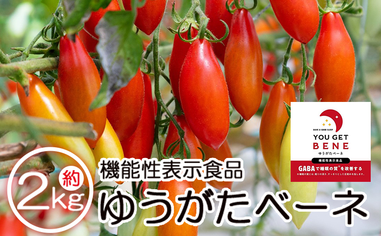 【先行予約受付】機能性表示食品 ミニトマト ゆうがたベーネ 約2kg（1kg×2箱）- ミニトマト プチトマト フルーツトマト ギフト のし対応 高糖度 お歳暮 御歳暮 贈答用 贈り物 is-0014