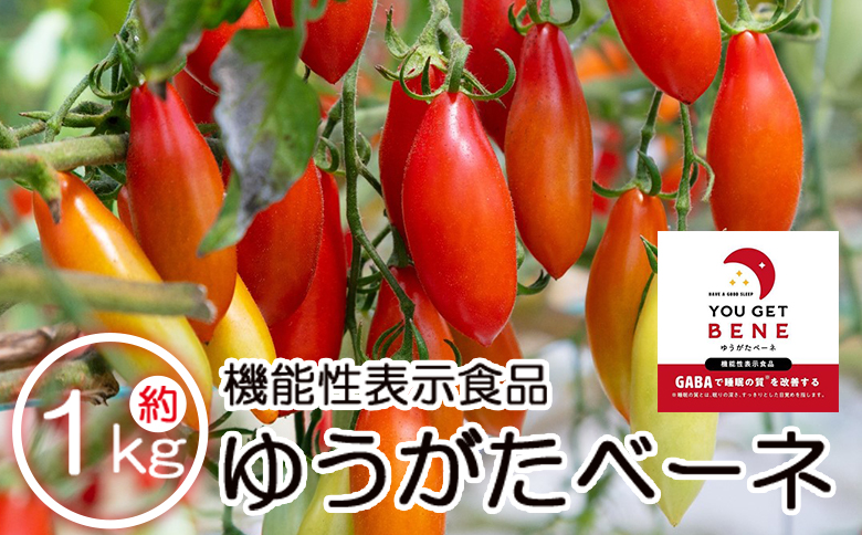 【先行予約受付】機能性表示食品 ミニトマト ゆうがたベーネ 約1kg - ミニトマト プチトマト フルーツトマト ギフト のし対応 高糖度 お歳暮 御歳暮 贈答用 贈り物 is-0013