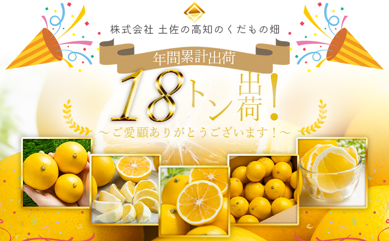 【2026年出荷分】【2回定期便】土佐の高知のくだもの畑 ハウス小夏2.5kg(家庭用) 高知 土佐 こなつ 果物 フルーツ 土佐の高知のくだもの畑 【先行予約】 - 家庭用 訳あり 小夏 ハウス ミカン みかん 蜜柑 柑橘 果物 フルーツ こなつ のし対応可 熨斗 国産 Wkd-0033