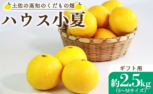 ハウス小夏 約2.5kg（ギフト用・S～Mサイズ）- 日向夏 ニューサマーオレンジ 蜜柑 柑橘 果物 くだもの フルーツ こなつ 贈答用 贈り物 のし対応可 熨斗 国産 高知県 香南市 kd-0011