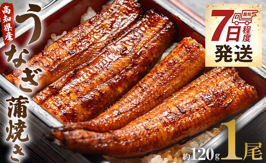 【7日程度で発送】うなぎ蒲焼き 1尾(約120g)(無頭) - 送料無料 鰻 ウナギ スタミナ 晩ご飯 おつまみ 丼ぶり 魚 うなぎ屋きた本 ギフト お取り寄せグルメ プレゼント 海の幸 ギフト うなぎ屋きた本 高知県 香南市 冷凍 un-0013
