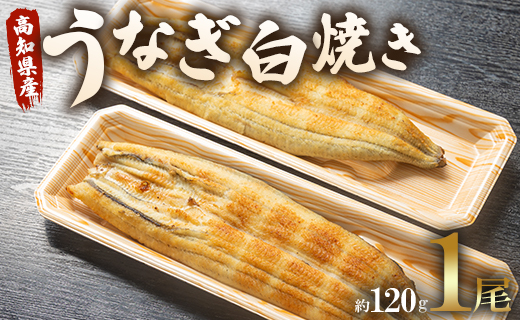 うなぎ白焼き 1尾(約120g)(無頭) - 送料無料 鰻 ウナギ 魚介 山椒塩 惣菜 おかず のし ギフト 贈答 贈り物 プレゼント 丑の日 国産 うなぎ屋きた本 高知県 香南市 冷凍 スピード un-0016