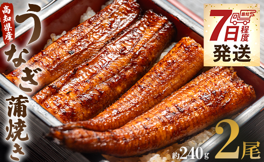 【7日程度で発送】うなぎ蒲焼き 2尾(合計約240g)(無頭)  - 送料無料 鰻 ウナギ 晩御飯 おかず おつまみ アテ スタミナ プレゼント ギフト 贈答 丑の日 父の日 敬老の日 うなぎ屋きた本 高知県 香南市 冷凍 un-0014