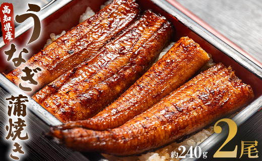 うなぎ蒲焼き 2尾(合計約240g)(無頭) - 送料無料 鰻 ウナギ 晩御飯 おかず おつまみ アテ スタミナ プレゼント ギフト 贈答 丑の日 父の日 敬老の日 うなぎ屋きた本 高知県 香南市 冷凍 スピード un-0014
