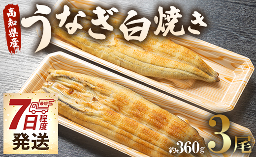 【7日程度で発送】うなぎ白焼き 3尾(合計約360g)(無頭) - 送料無料 鰻 ウナギ 魚介 惣菜 おかず 山椒塩 のし ギフト 贈答 贈り物 プレゼント 丑の日 うなぎ屋きた本 高知県 香南市 冷凍 un-0018