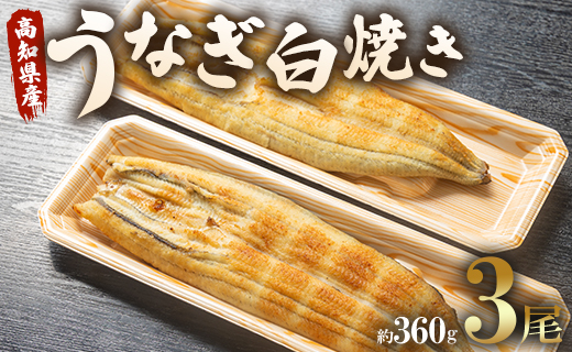 うなぎ白焼き 3尾(合計約360g)(無頭) - 送料無料 鰻 ウナギ 魚介 惣菜 おかず 山椒塩 のし ギフト 贈答 贈り物 プレゼント 丑の日 うなぎ屋きた本 高知県 香南市 冷凍 un-0018