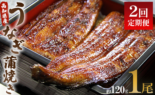 【2回定期便】うなぎ屋きた本 うなぎ蒲焼き120g 1尾(無頭) Wun-0019