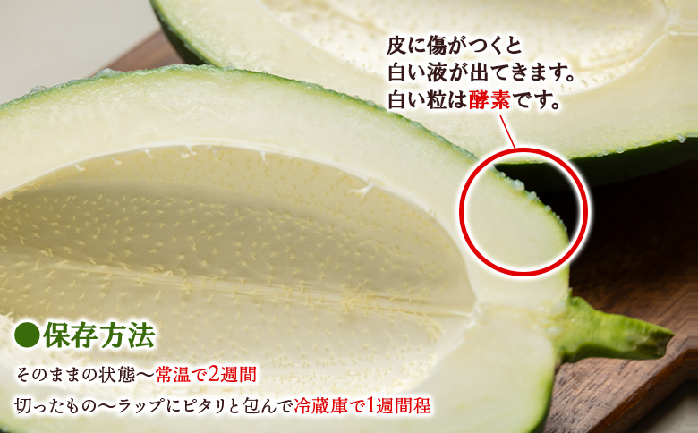 野菜ソムリエが育てた青パパイヤ ２玉 - パパイア やさい 果物 フルーツ 料理 サラダ おでん 炒め物 酵素 高知県 香南市 常温 mj-0017