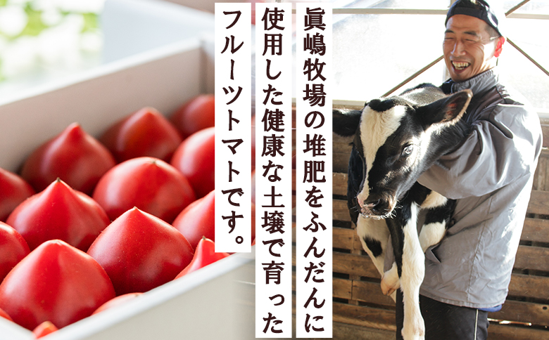 野菜ソムリエが育てた うしの惠フルーツトマト 1kg(500g×2) - 送料無料 期間限定 野菜 とまと 産地直送 料理 アレンジ サラダ 鍋 サンドイッチ 完熟 リコピン 甘い あまい フレッシュ さっぱり 贈答 お礼 御礼 おいしい 国産 高知県 香南市 常温 mj-0025