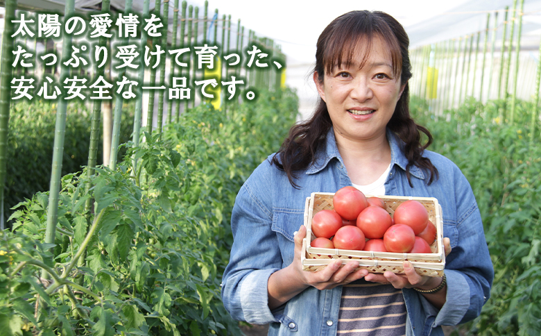 野菜ソムリエが育てた うしの惠フルーツトマト 1kg(500g×2) - 送料無料 期間限定 野菜 とまと 産地直送 料理 アレンジ サラダ 鍋 サンドイッチ 完熟 リコピン 甘い あまい フレッシュ さっぱり 贈答 お礼 御礼 おいしい 国産 高知県 香南市 常温 mj-0025
