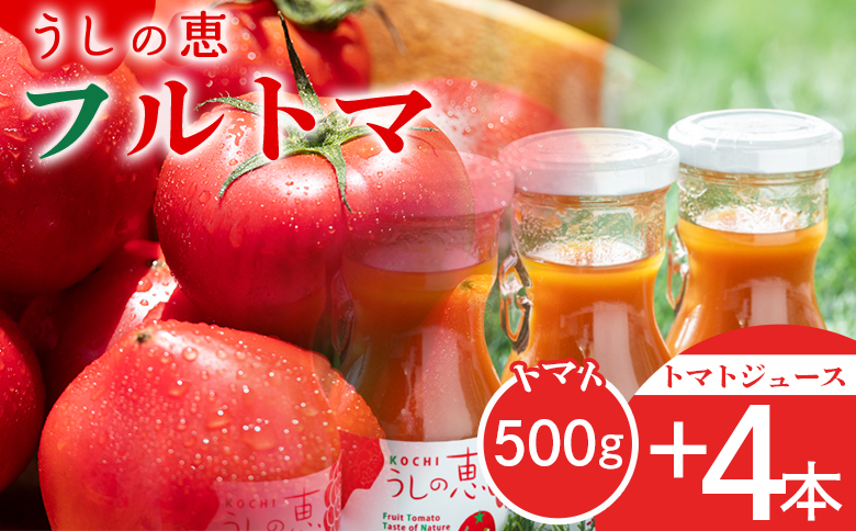 野菜ソムリエが育てた うしの惠フルーツトマト500g＋トマトジュース4本 - セット フルーツ トマト トマトジュース 野菜 青果 飲料 飲み物 野菜ジュース とまと 期間限定 産地直送 ギフト 贈り物 季節品 眞嶋農園 高知県 香南市 常温 mj-0026