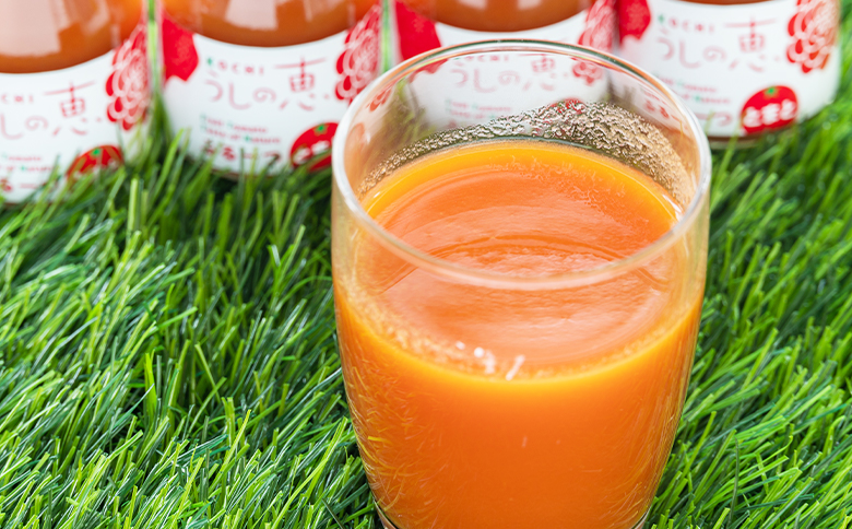 éèãœã ãªãšãè²ãŠã ããã®æ ãã«ãŒãããã500gïŒããããžã¥ãŒã¹4æ¬ - ã»ãã ãã«ãŒã ããã ããããžã¥ãŒã¹ éè éæ é£²æ 飲ã¿ç© éèãžã¥ãŒã¹ ãšãŸãš æééå® ç£å°çŽé ã®ãã èŽãç© å£ç¯å çå¶èŸ²å é«ç¥ç éŠååž åžžæž© mj-0026