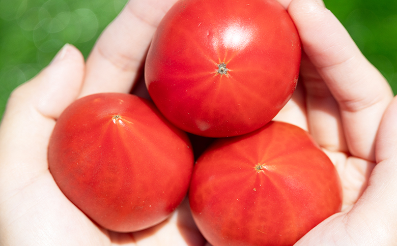 éèãœã ãªãšãè²ãŠã ããã®æ ãã«ãŒãããã500gïŒããããžã¥ãŒã¹4æ¬ - ã»ãã ãã«ãŒã ããã ããããžã¥ãŒã¹ éè éæ é£²æ 飲ã¿ç© éèãžã¥ãŒã¹ ãšãŸãš æééå® ç£å°çŽé ã®ãã èŽãç© å£ç¯å çå¶èŸ²å é«ç¥ç éŠååž åžžæž© mj-0026