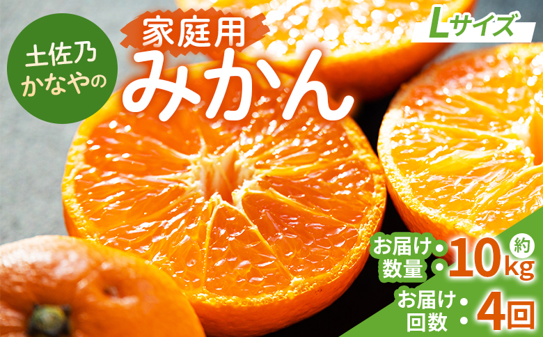【みかん定期便 4回】土佐乃かなやの家庭用みかん10kg(Lサイズ)×4回 合計40kg - 定期便 数量 国産 早生みかん 極早生みかん グリーンみかん 蜜柑 ミカン 柑橘 果物 くだもの フルーツ ご家庭用 ご自宅用 Benifare 高知県 香南市 常温 Wbe-0124
